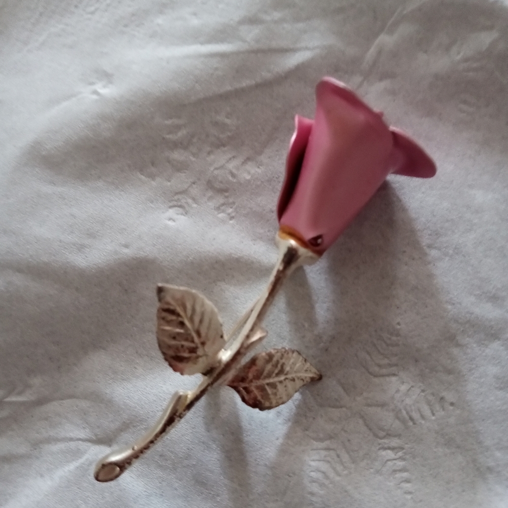 Beautiful rose stem silver pin